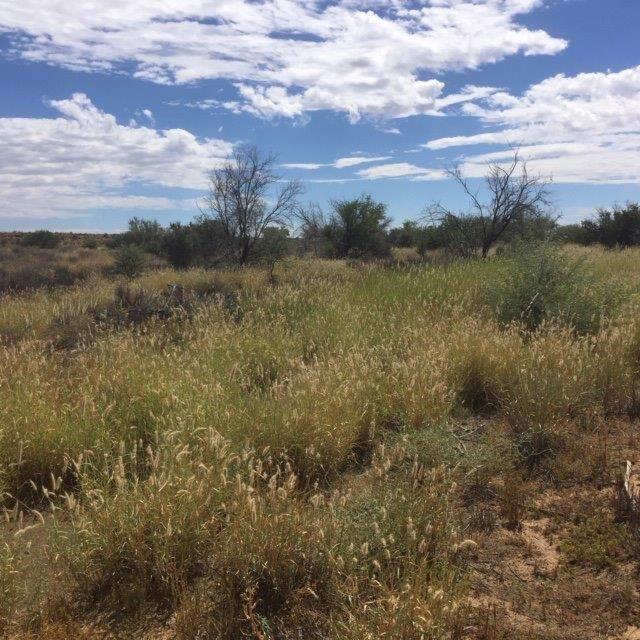 0 Bedroom Property for Sale in Leeu Gamka Western Cape